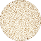 Risotto Risotto