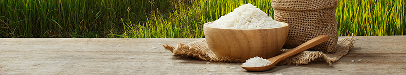 historia arroz