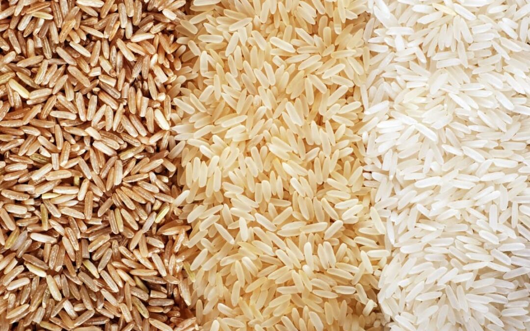 Diferença entre arroz normal e integral: Descubra qual é mais saudável