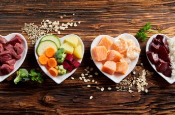 Alimentos com vitamina B: fontes, benefícios e dicas